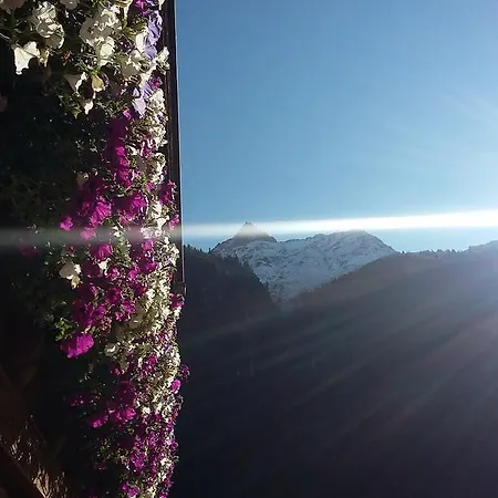S' Ludwign Haus Sankt Leonhard im Pitztal