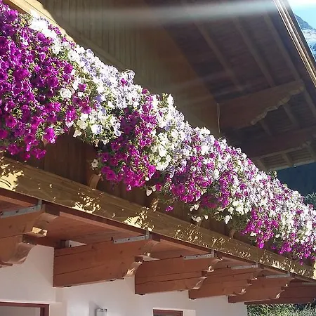 S' Ludwign Haus Privat bolig *